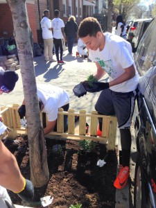 Senior Randy Morfe putting his gardening skills to use. 